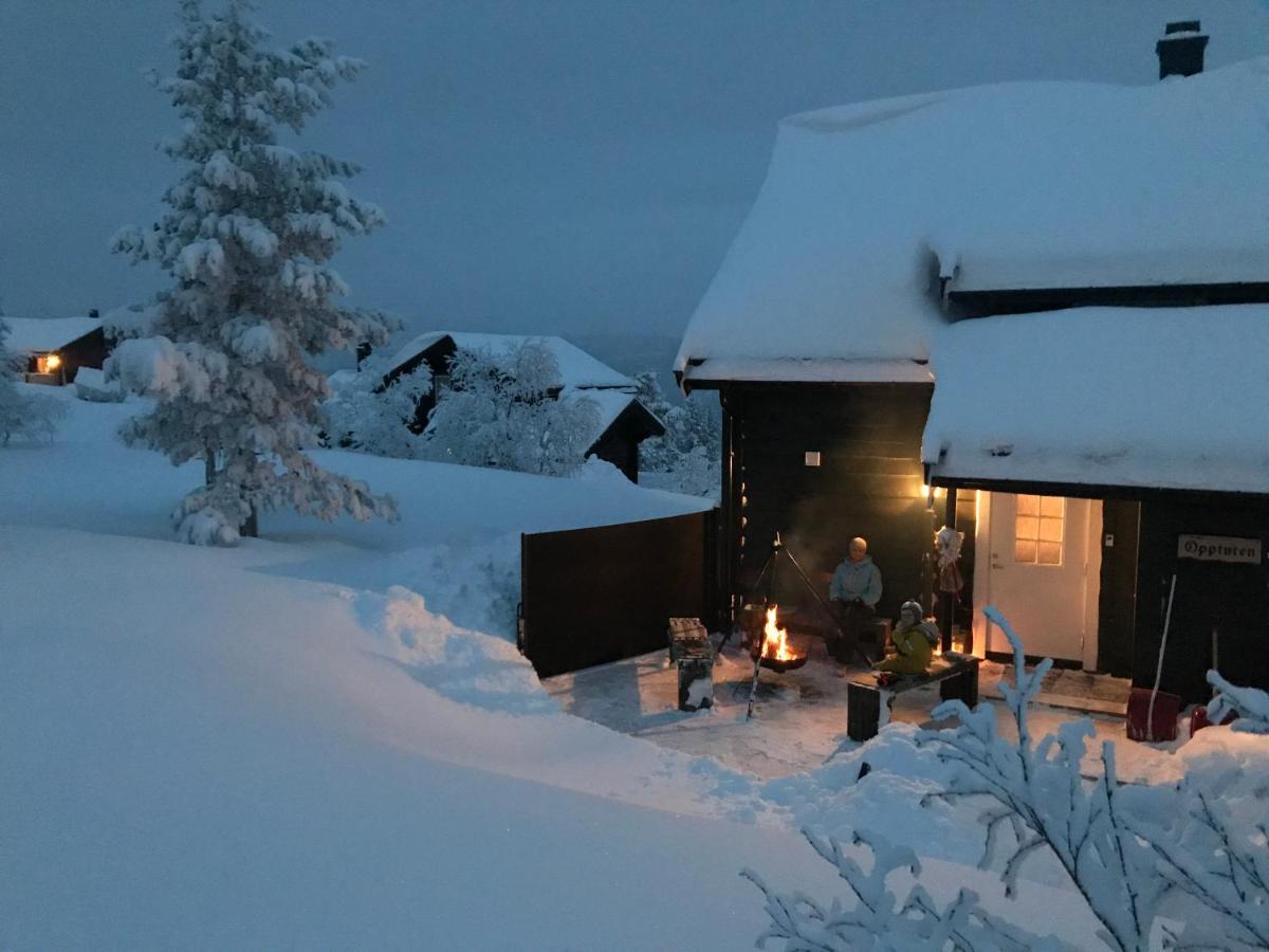 Vradal Panorama - Flott Hytte Pa Toppen Villa Sinnes Exterior photo